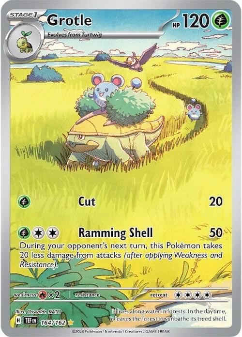 Grotle - 164/162 | Illustration Rare | (TEF | SV05: Temporal Forces)